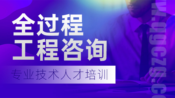 全过程工程咨询师